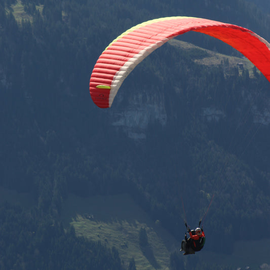 Vuelo panorámico